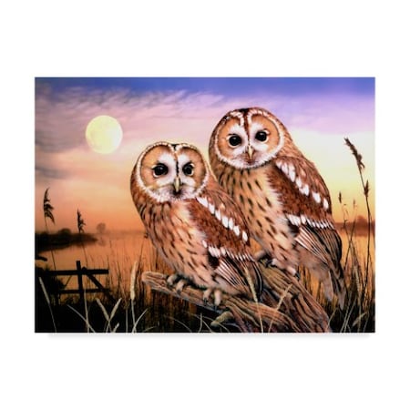 Howard Robinson 'Two Owls' Canvas Art,24x32